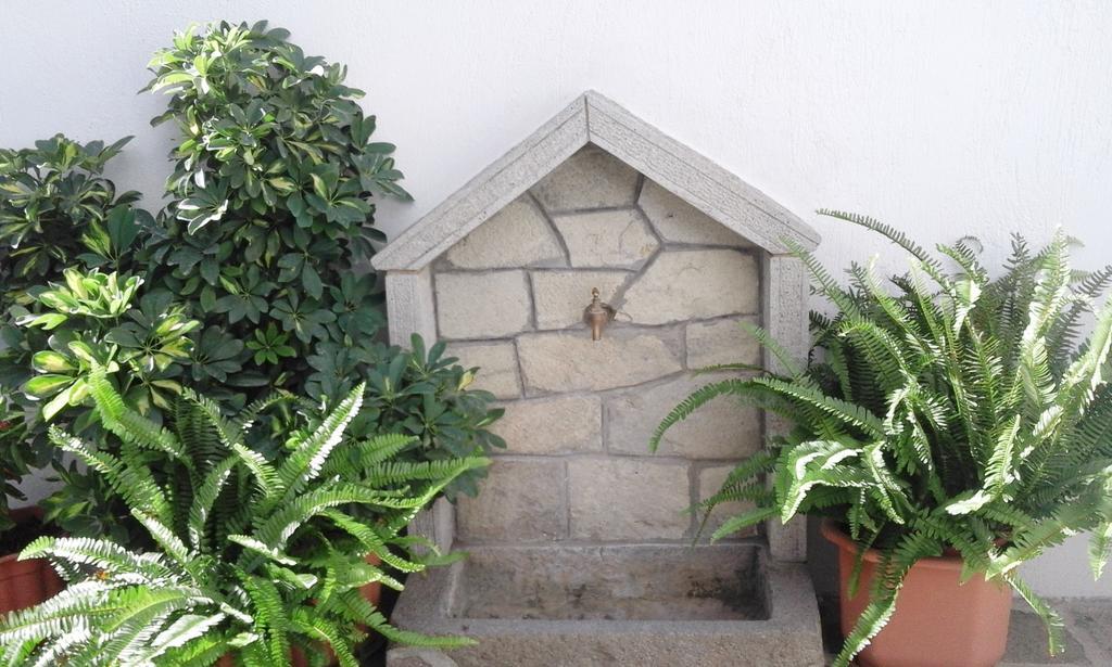 Ostria Eressos Rooms Skala Eresou Bagian luar foto